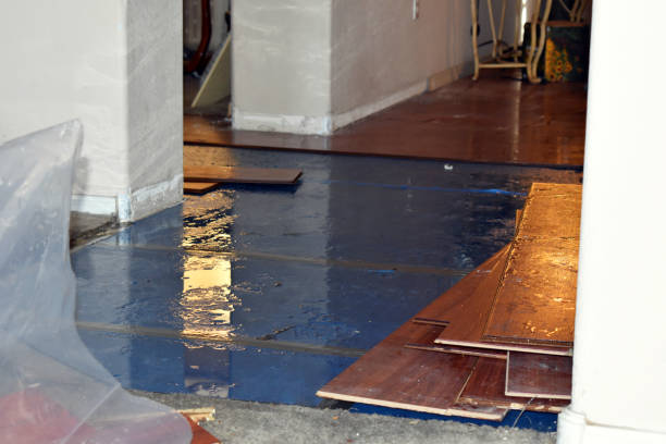 Professional Basement Flood Cleanup technician working in Purchase, NY